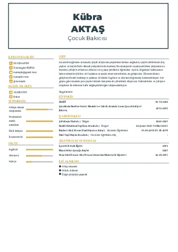 Çocuk Bakıcısı CV Örnekleri cv indir